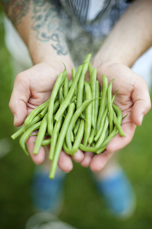 Green Beans, Tiffany Bolk Photography