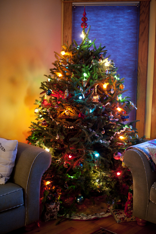 Christmas Tree 2013 1