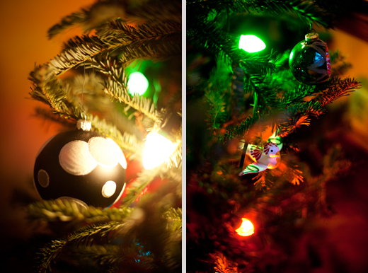 Christmas Tree 2013 8