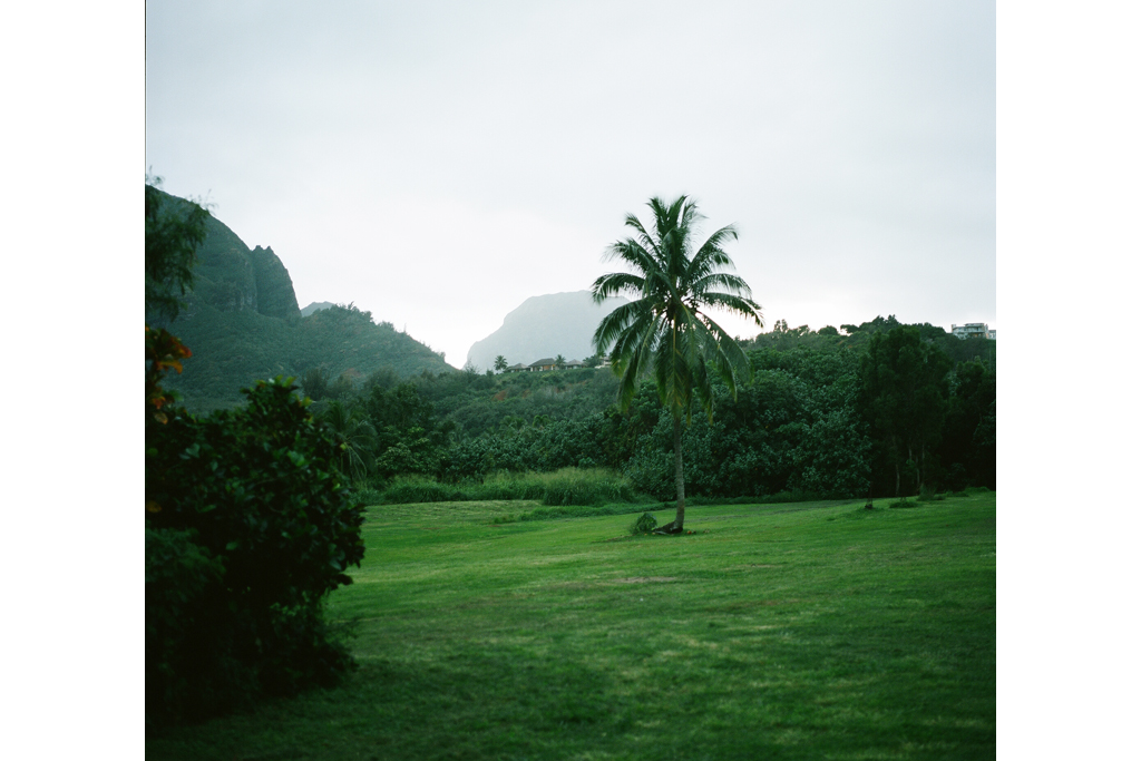 Kauai 4