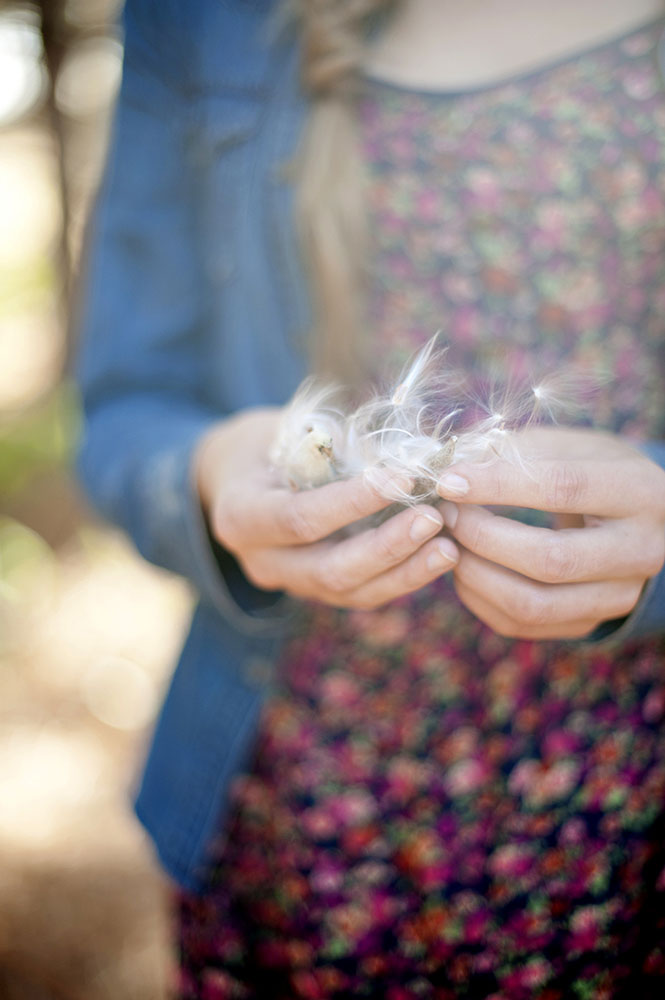 milkweed