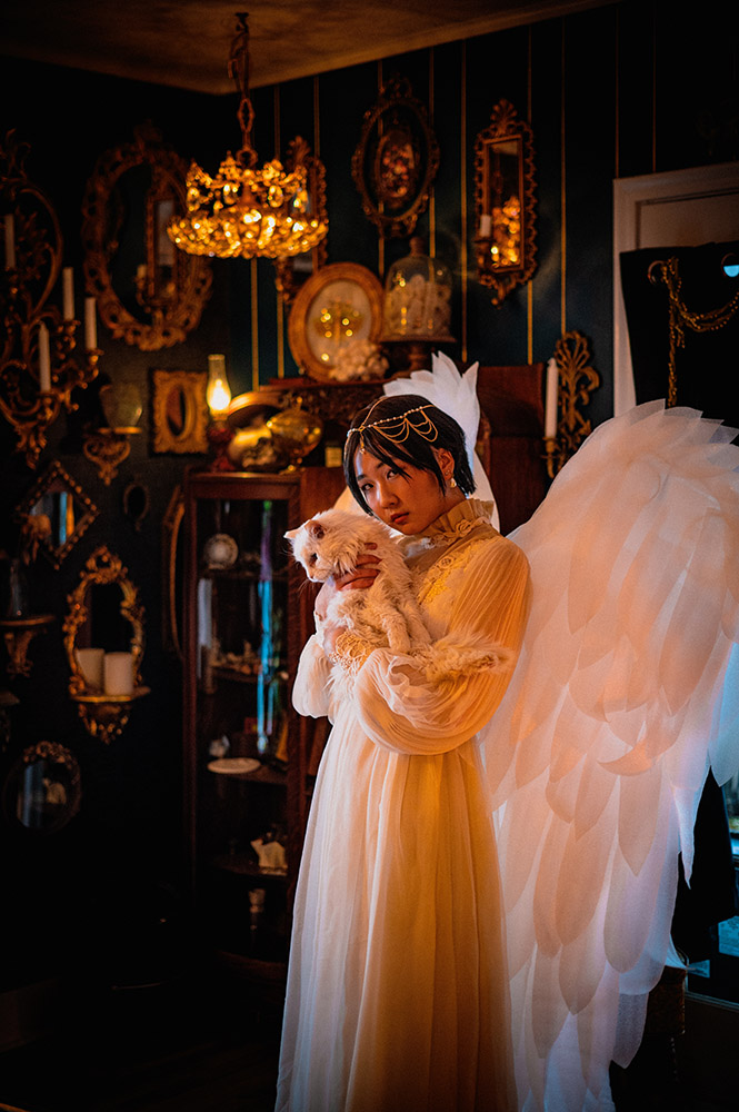 a woman in white with angel wings and a white cat