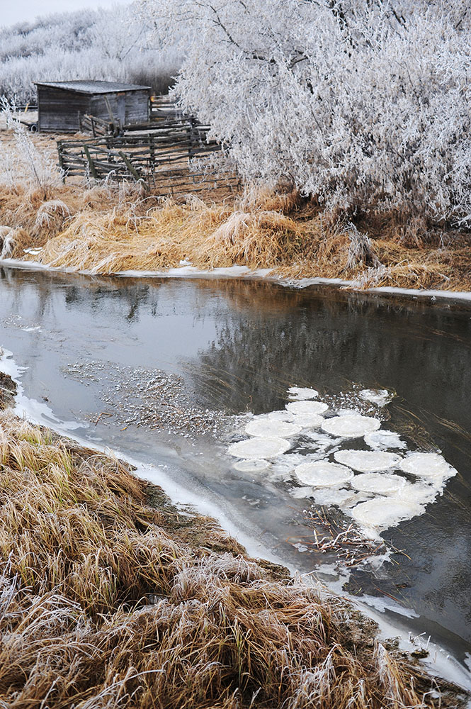 frost circles in river