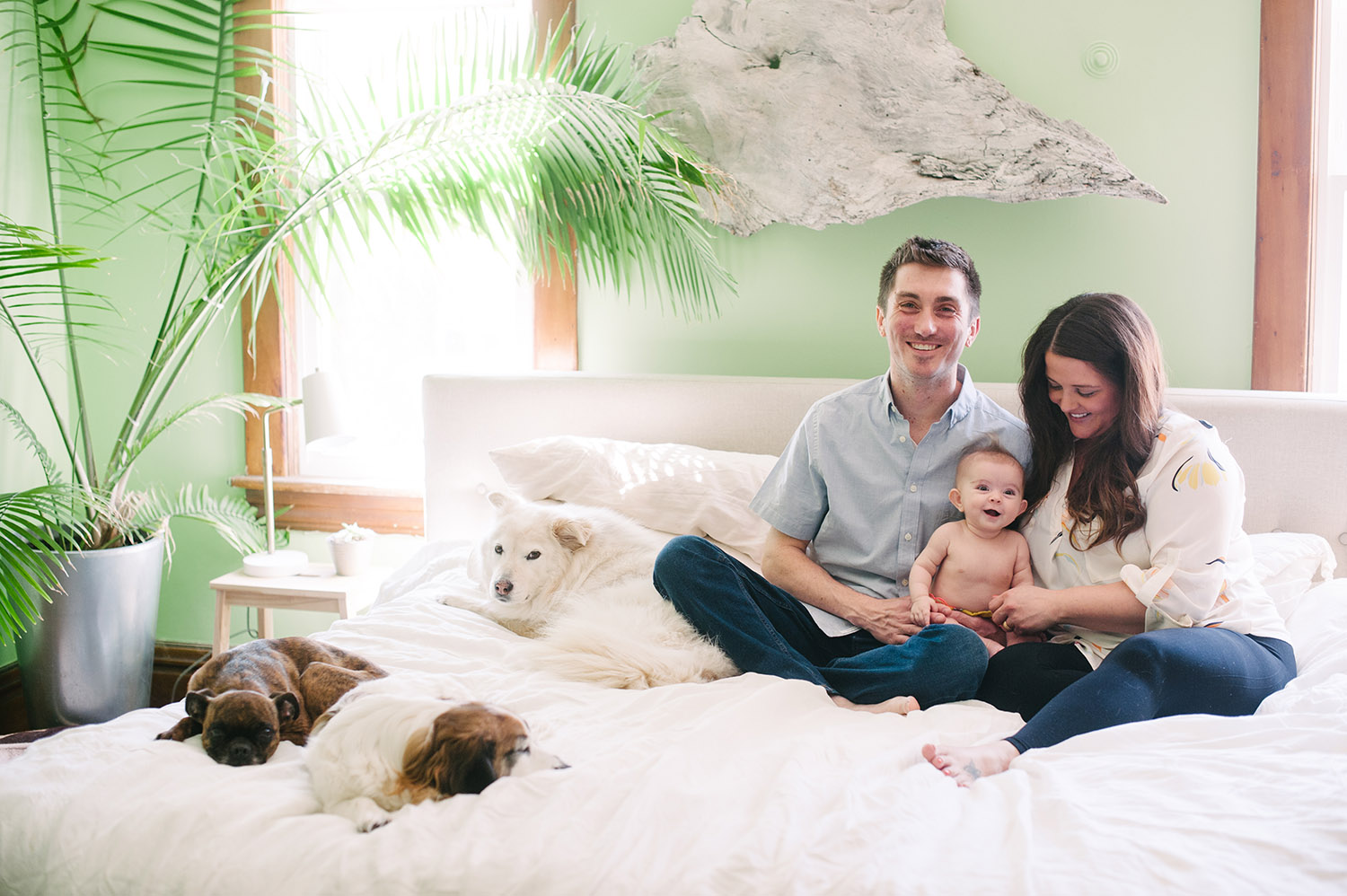 a couple on their bed with baby and dogs